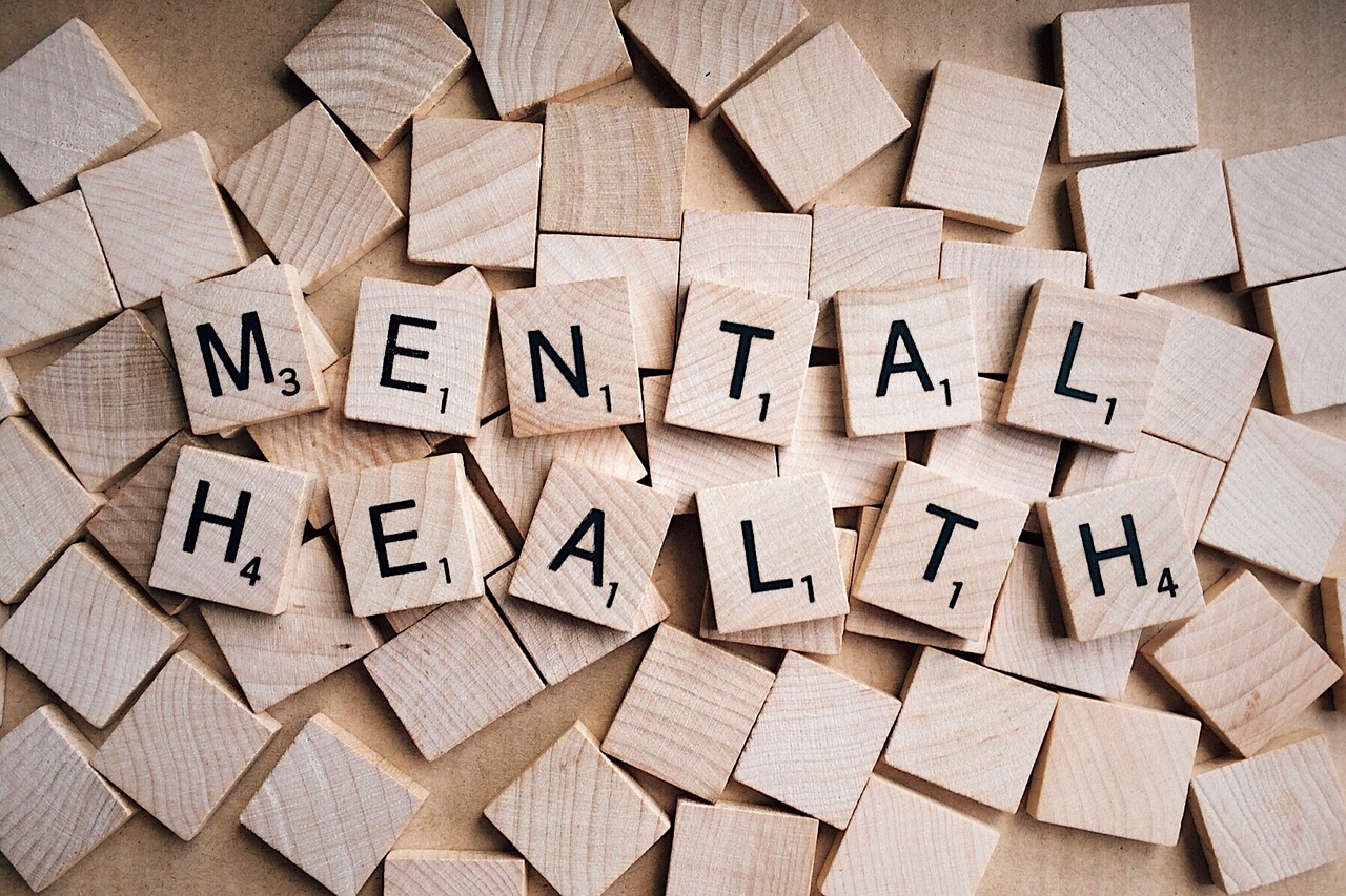 The Importance of Mental Health Support (image credits: pixabay)