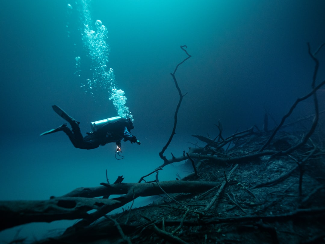 The Legal Protection of Underwater Heritage (image credits: unsplash)
