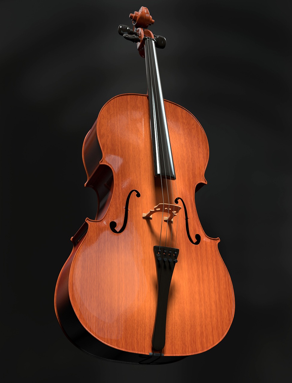 The Evolution of American Music Culture (image credits: pixabay)