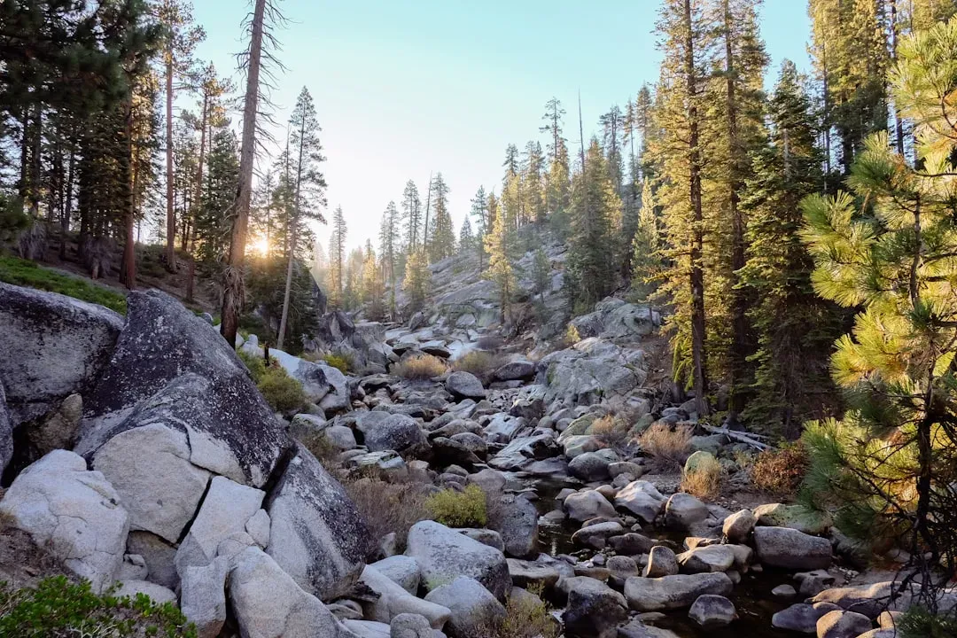 Near Granite Boulders in Yosemite National Park (Image Credits: Unsplash)