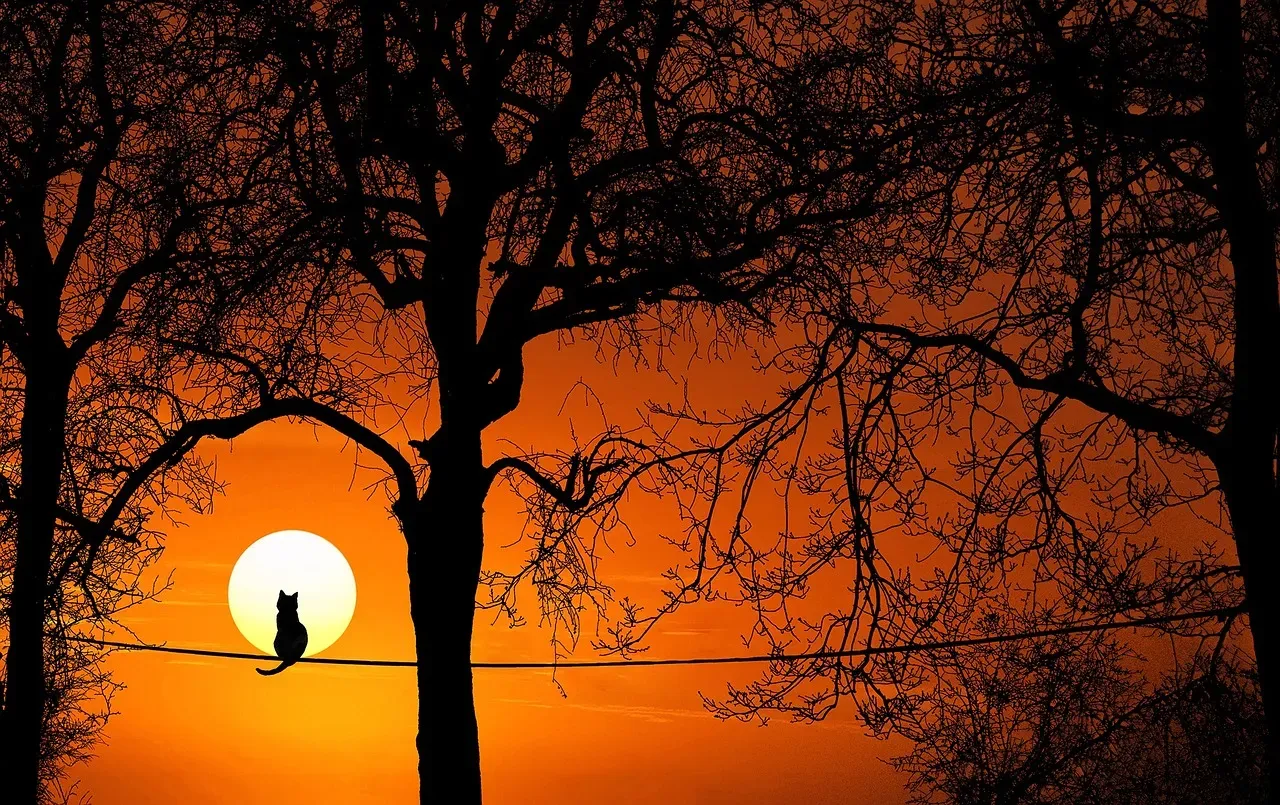 Projection: Seeing Gold in Others (Image Credits: Pixabay)
