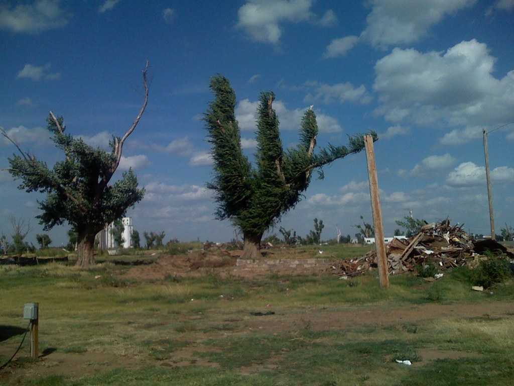 The Community That Refuses to Give Up (image credits: flickr)