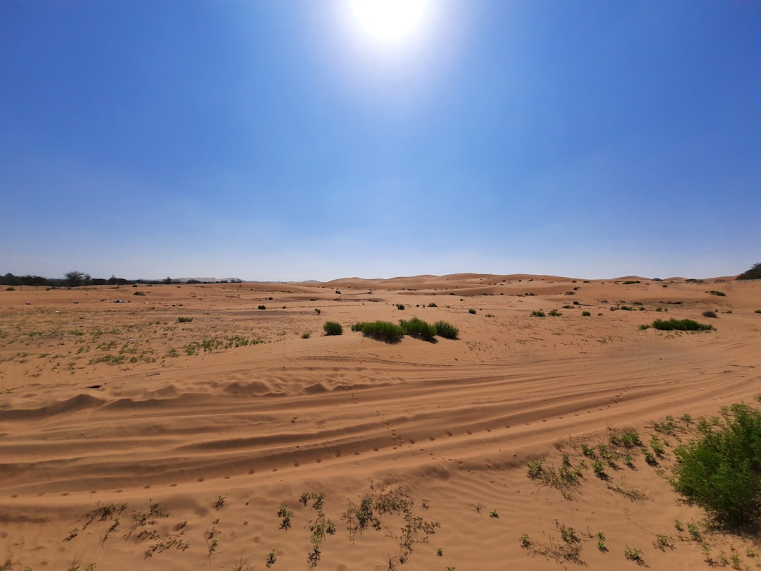 The Desert Land Act of 1877: The Forgotten Gateway to Western Expansion (image credits: unsplash)