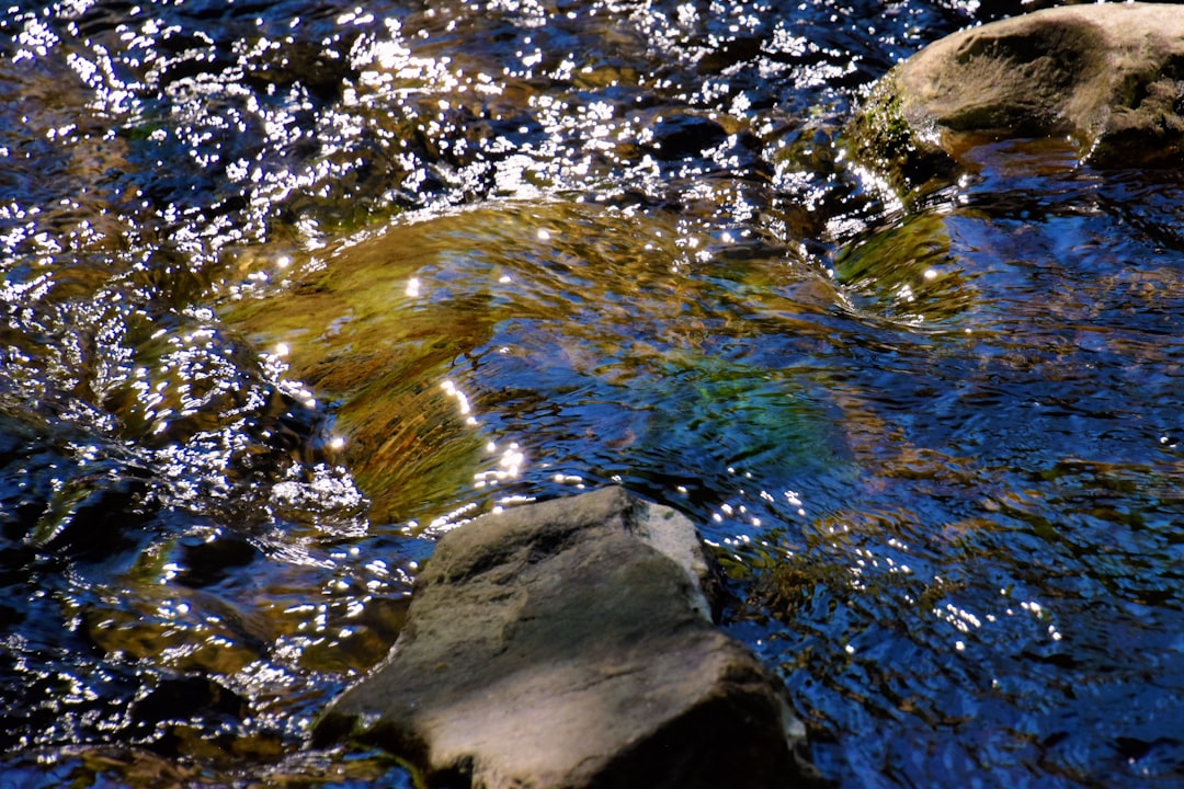 The Water-Earth Connection: A Supportive Alliance (image credits: unsplash)