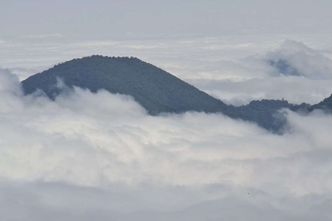 Spa Shiki's Ozark Mountain Magic in Missouri (image credits: unsplash)