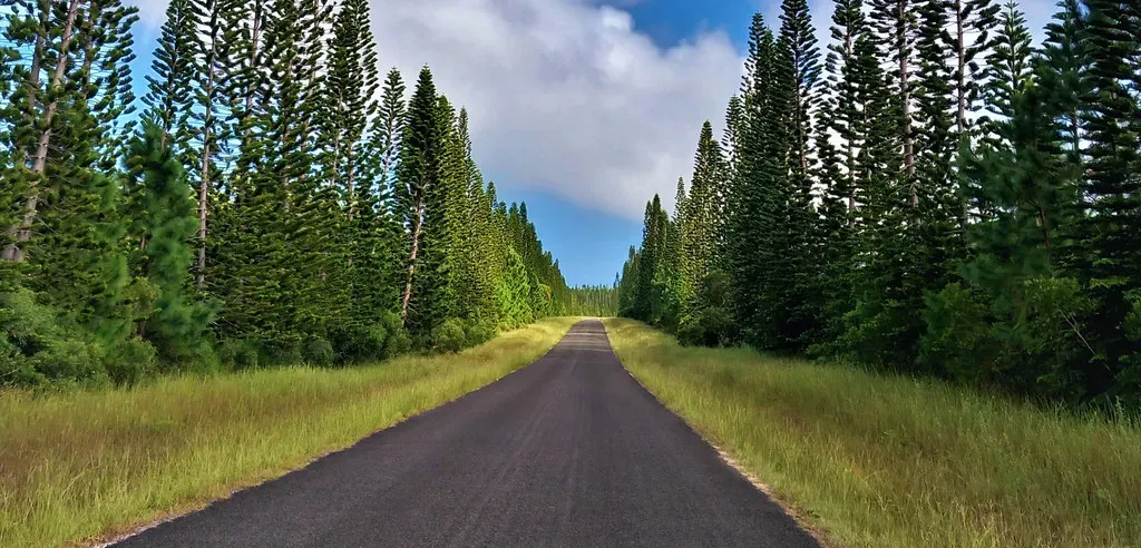 Aquarius: Independence Meeting Intimacy (Image Credits: Flickr)