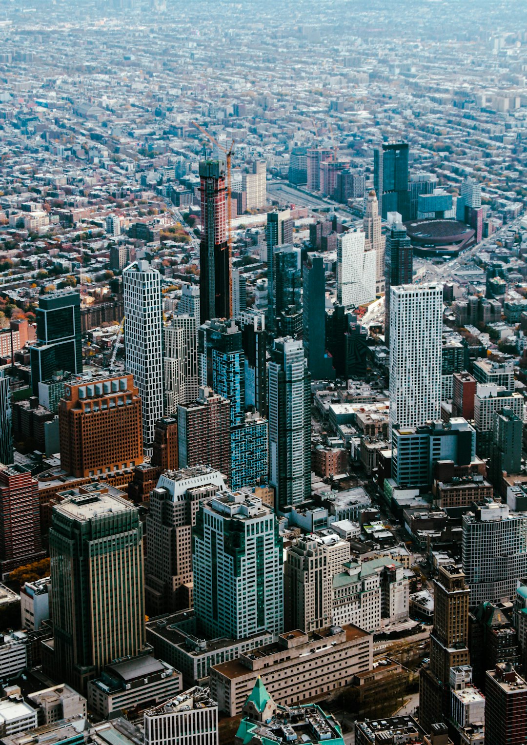 Introduction (image credits: unsplash)