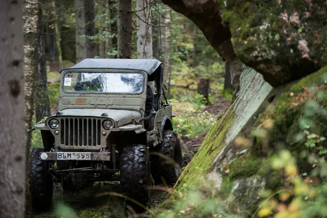 Jeep Willys MB: Off-Road Innovation (Image Credits: Unsplash)