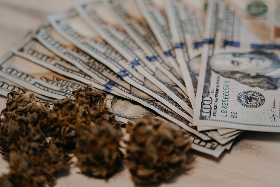 The Tax Revenue Reality Check (image credits: unsplash)