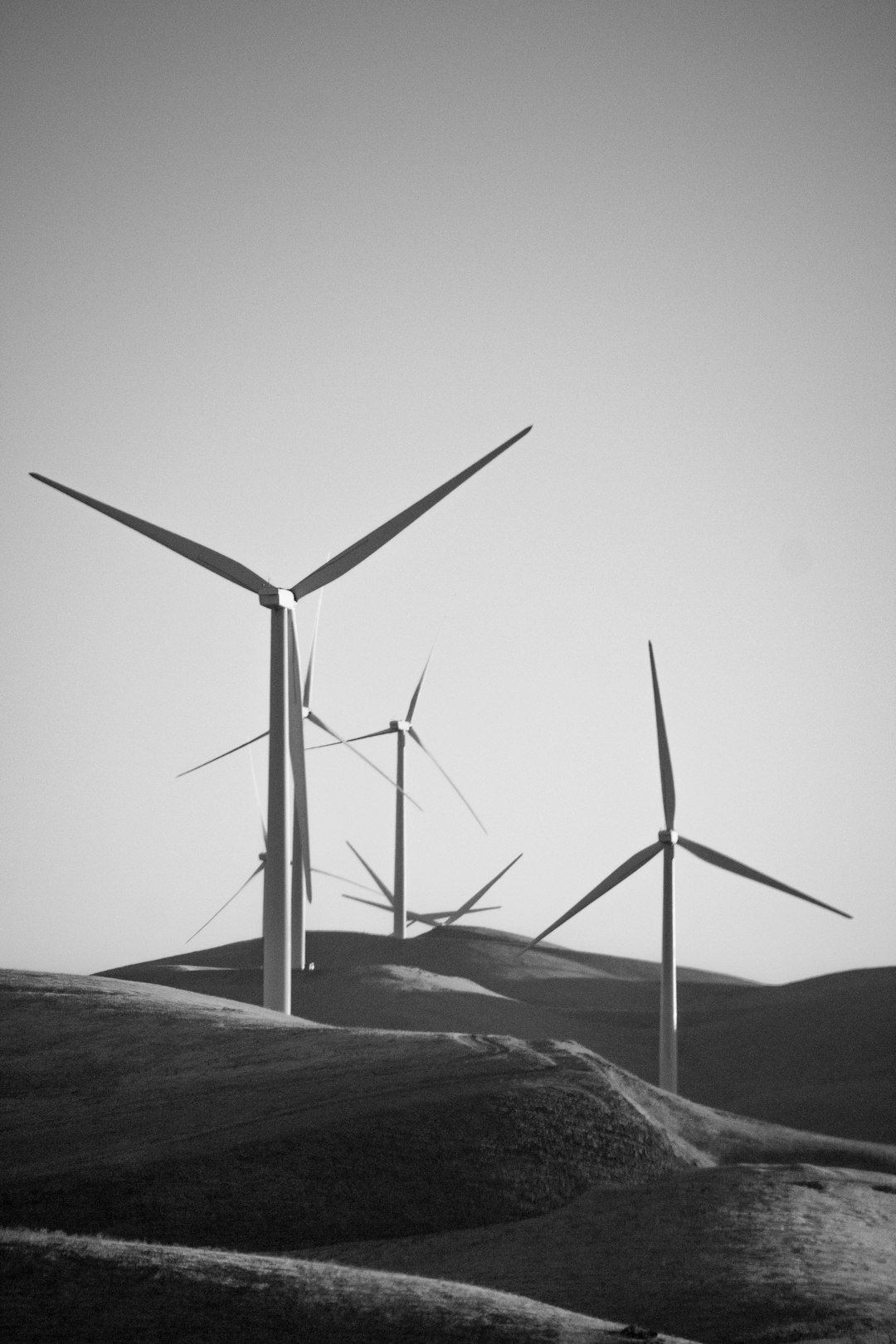 State Energy Programs Fuel Local Innovation (image credits: unsplash)