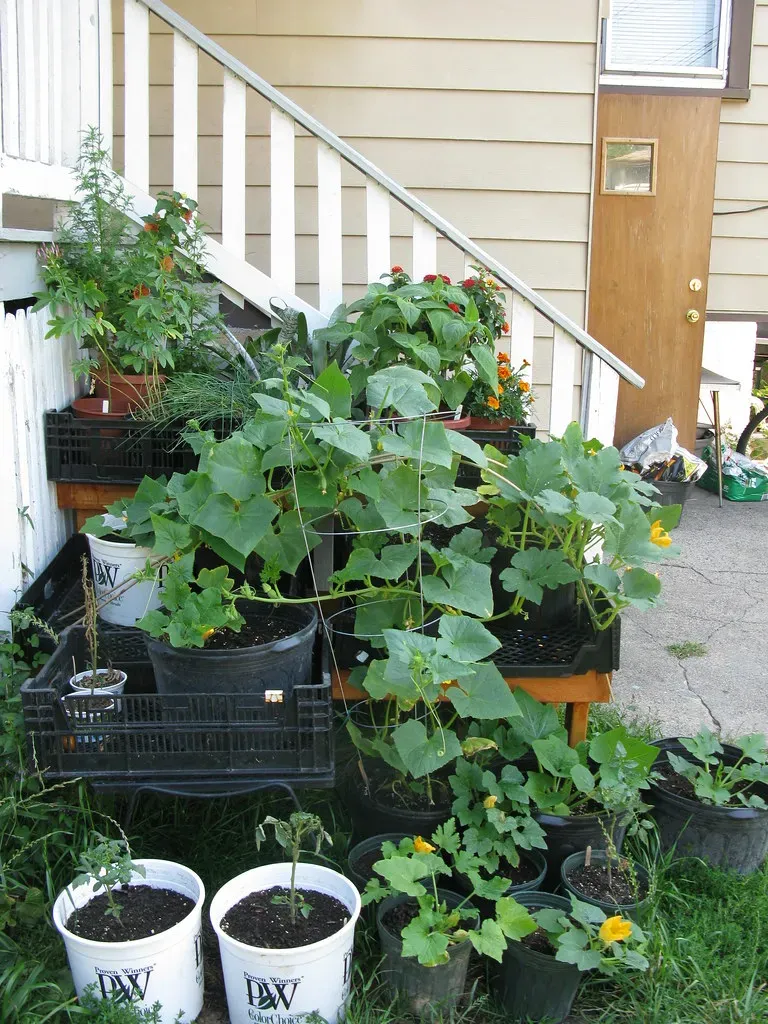 Making the Most of Limited Space (Image Credits: Flickr)