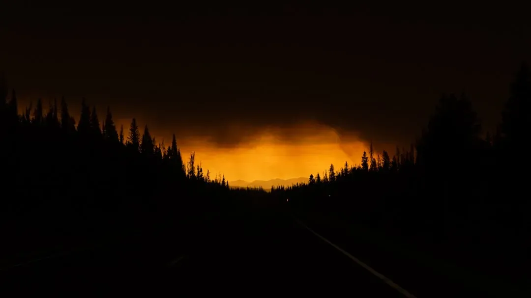 Wildlife Hits Harder Than Reported (Image Credits: Unsplash)