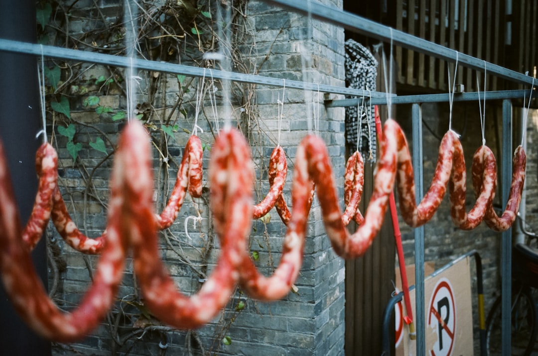 Meat Claws - The Messy Wolverine Fantasy (image credits: unsplash)