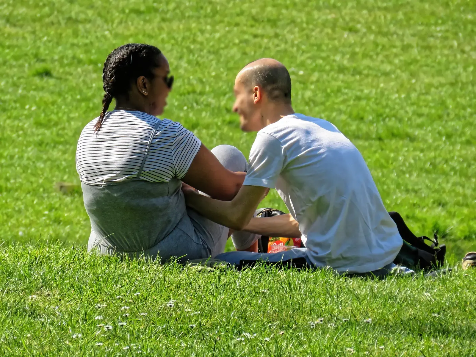 Gemini: The Social Butterfly Ready to Fold Its Wings (By Acabashi, CC BY-SA 4.0)