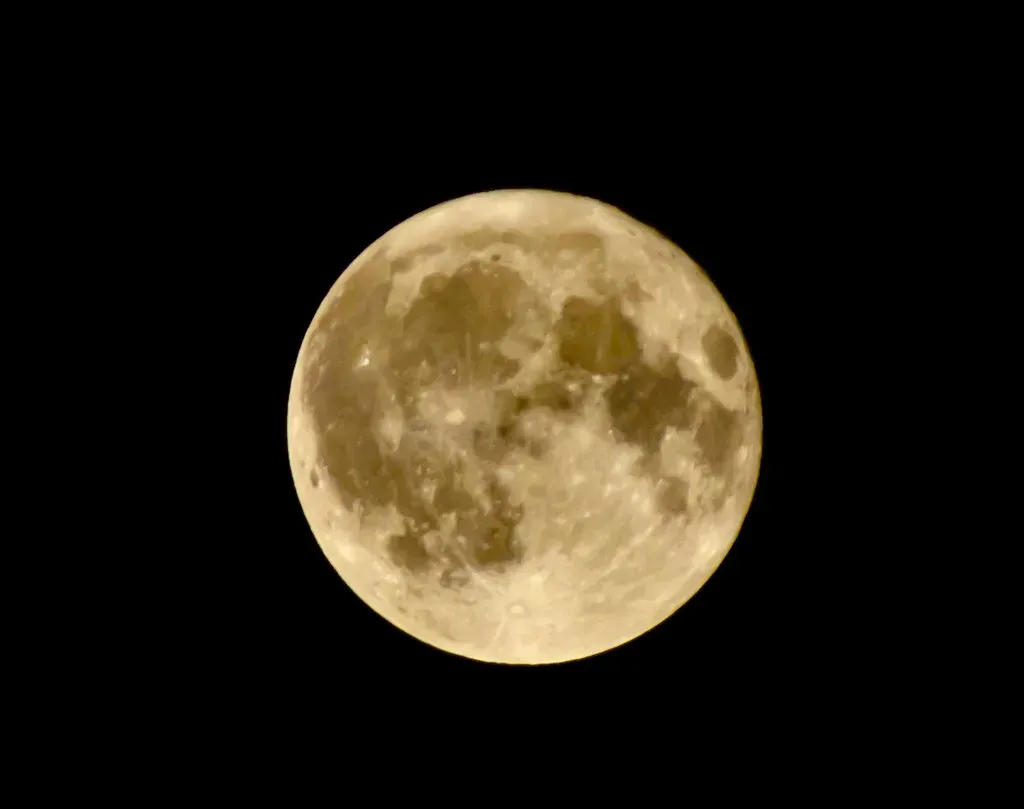 Leo: Home and Career Secrets Spill Out (Silver Blu3, Flickr, CC BY 2.0)