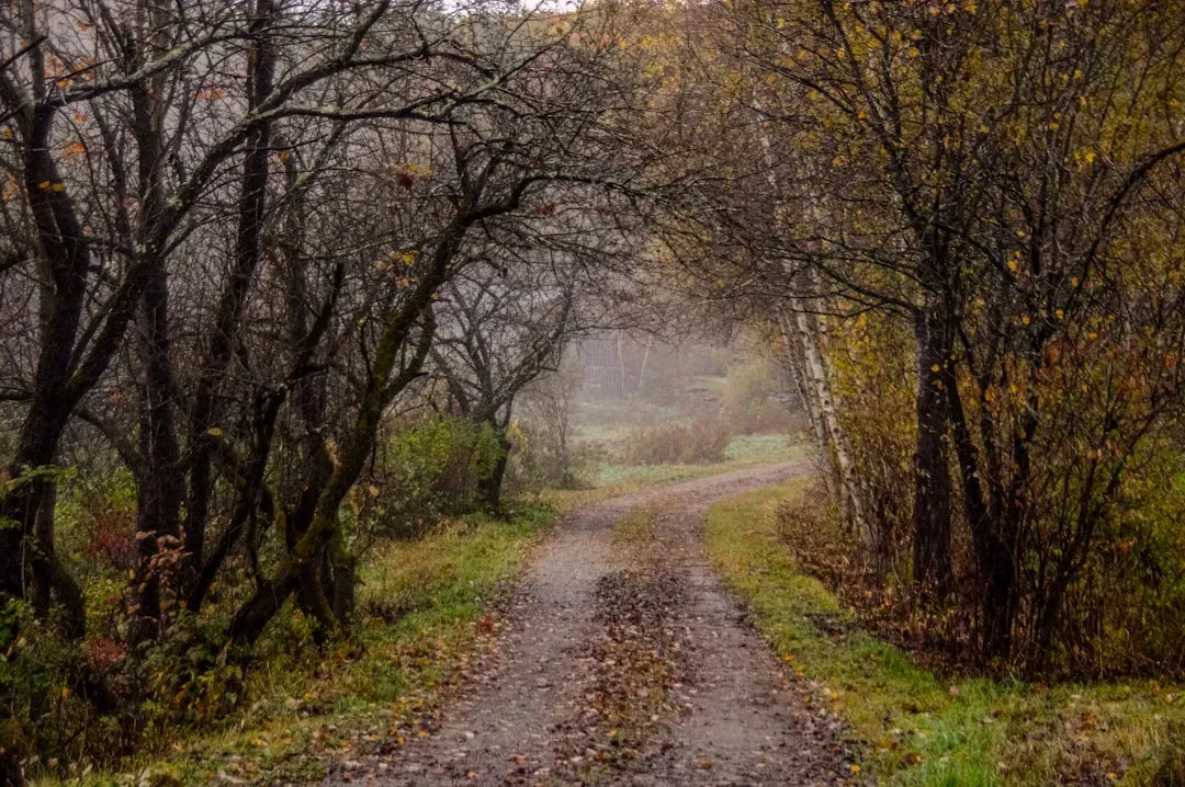 3. Vermont's Peaceful Trails (Image Credits: Unsplash)