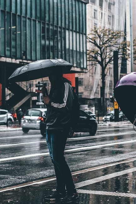 Challenges and Concerns (image credits: pexels)