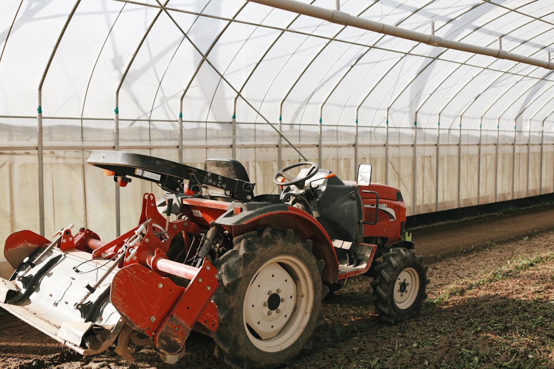 Small Farms Lose While Big Farms Win (image credits: unsplash)