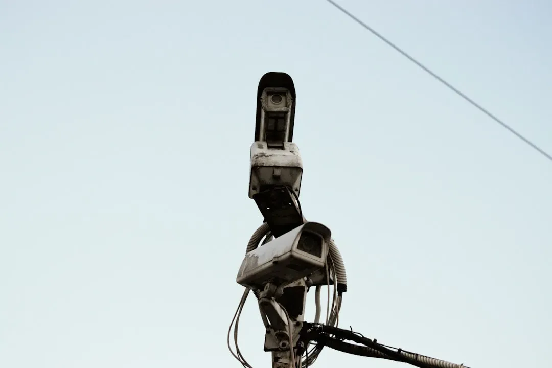 Top Hiding Spots in Rooms (Image Credits: Unsplash)