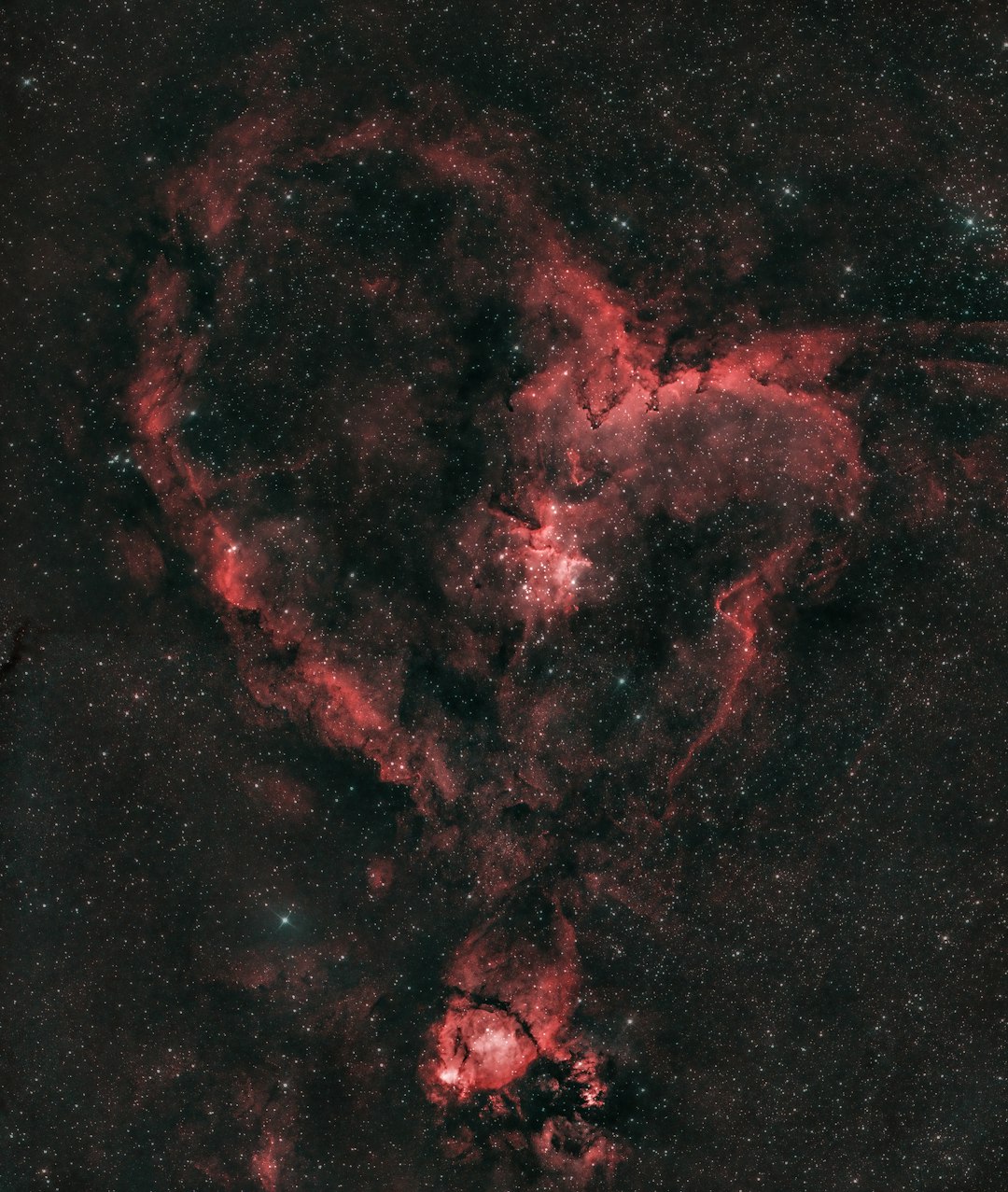 Venus Retrograde Actually Helps Your Love Life (image credits: unsplash)