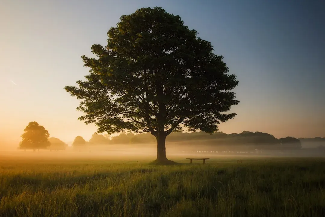 How to Recognize Potential in Daily Settings (Image Credits: Unsplash)