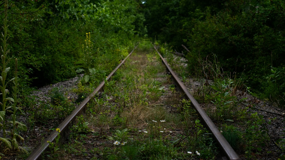 The Transportation Revolution That Left Rawsonville Behind (image credits: unsplash)