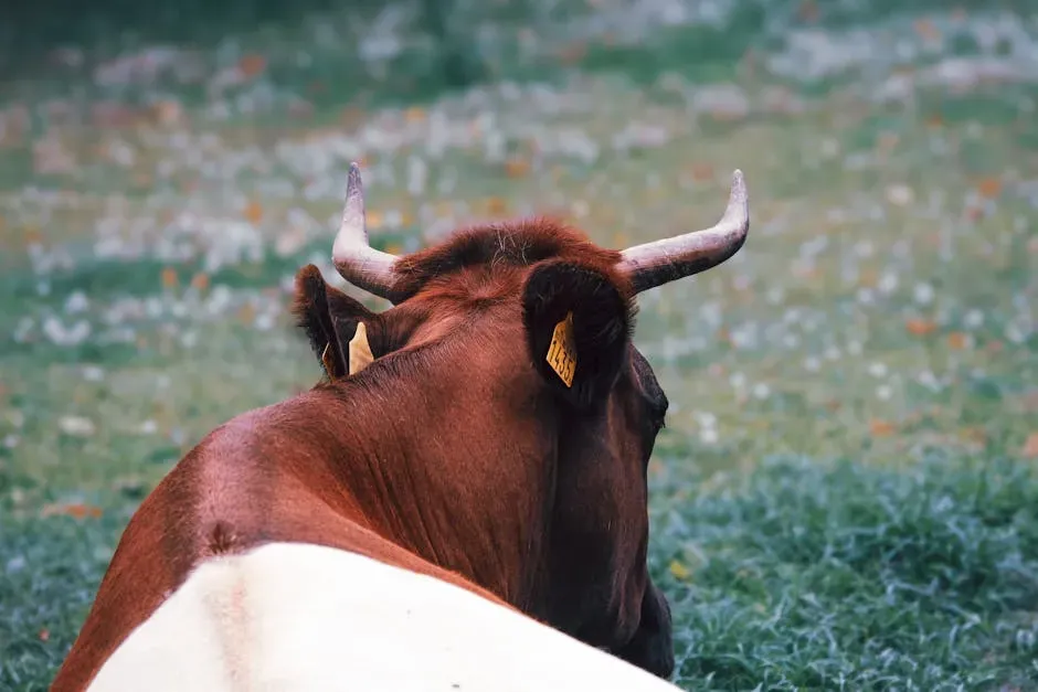 Taurus Luck Highlighted for Stability Lovers (Image Credits: Pexels)