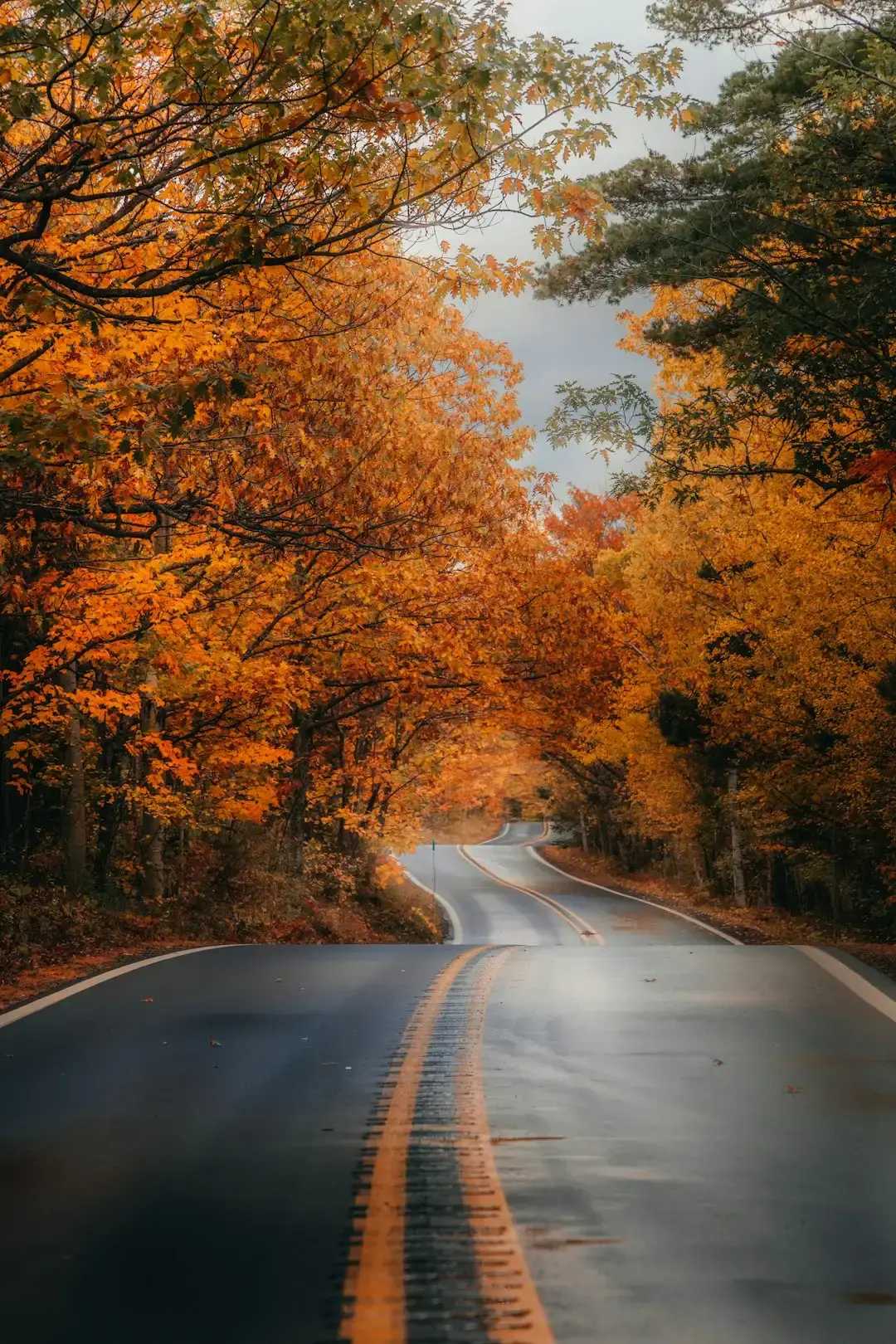 Foliage Isn't Just for New England Anymore (Image Credits: Unsplash)