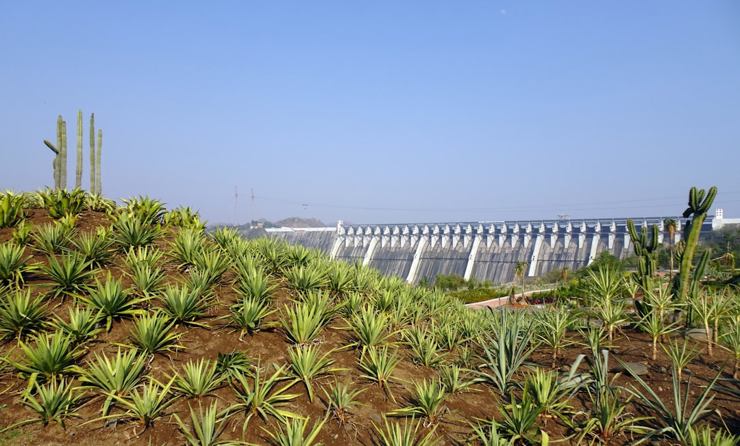 The Reclamation Act of 1902: Engineering the Desert (image credits: unsplash)