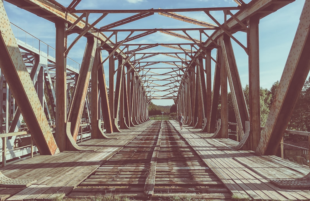 The True Cost of Progress (image credits: unsplash)