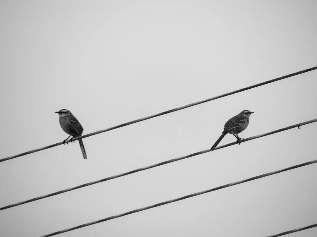 Electricity Bills Rise 4.6 Percent (Image Credits: Unsplash)