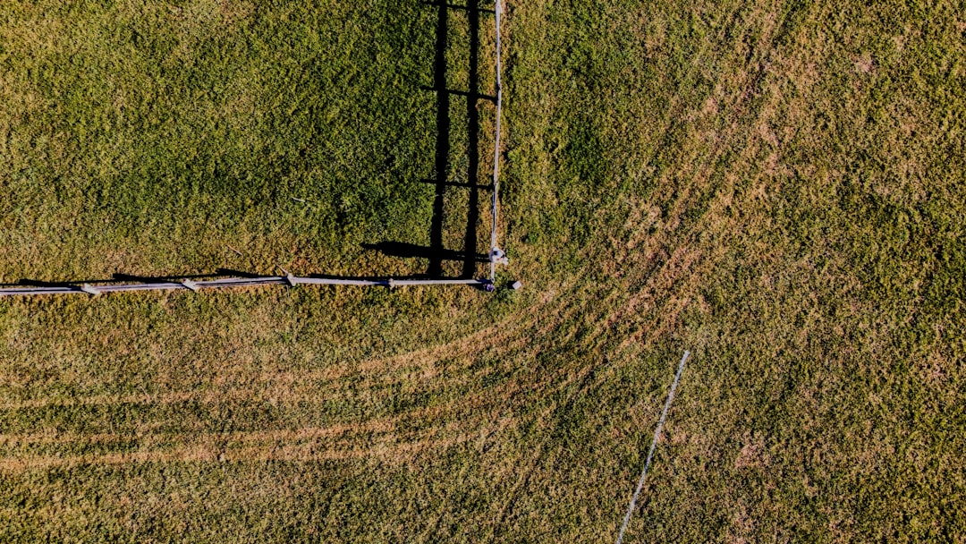 The Agricultural Powerhouse That Feeds America (image credits: unsplash)