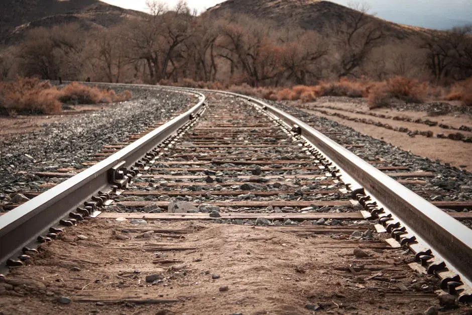 Official Investigations Underway (Image Credits: Pexels)