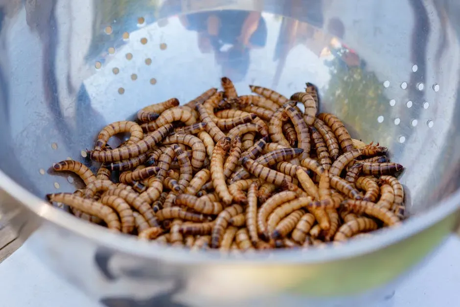 Mealworms: The Larva Lunch of the Future (Image Credits: Pexels)