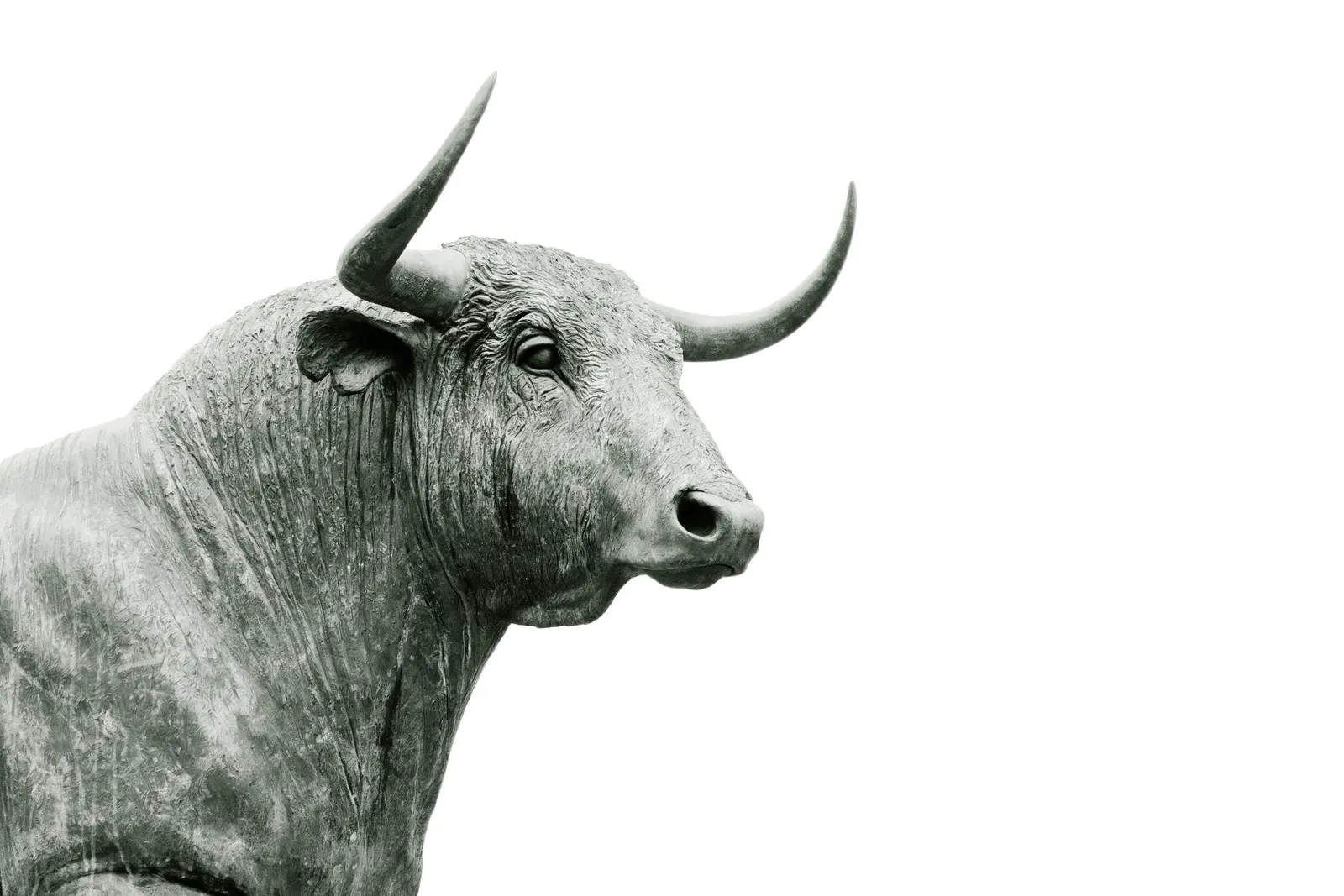 Taurus: The Bull Who Guards the Vault (By Hans Eiskonen eiskonen, CC0)