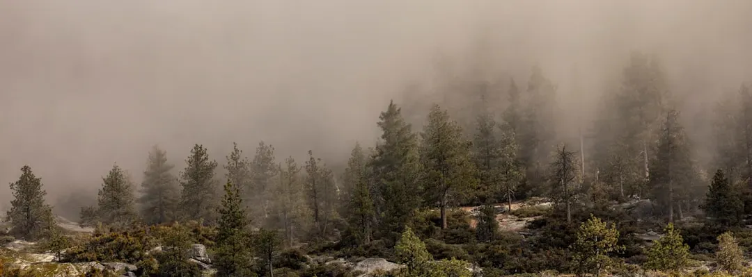 Yosemite Battles Intensifying Fire Seasons and Drought (Image Credits: Unsplash)