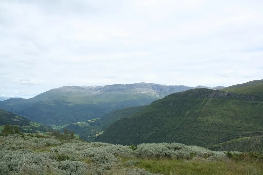 Crowley's Ridge Parkway: An Unexpected Treasure in the Heartland (Image Credits: Unsplash)