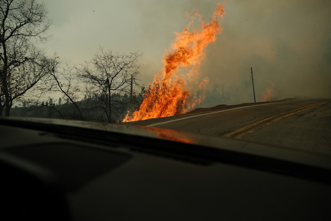 Texas: Where Size Meets Fire Intensity (image credits: unsplash)