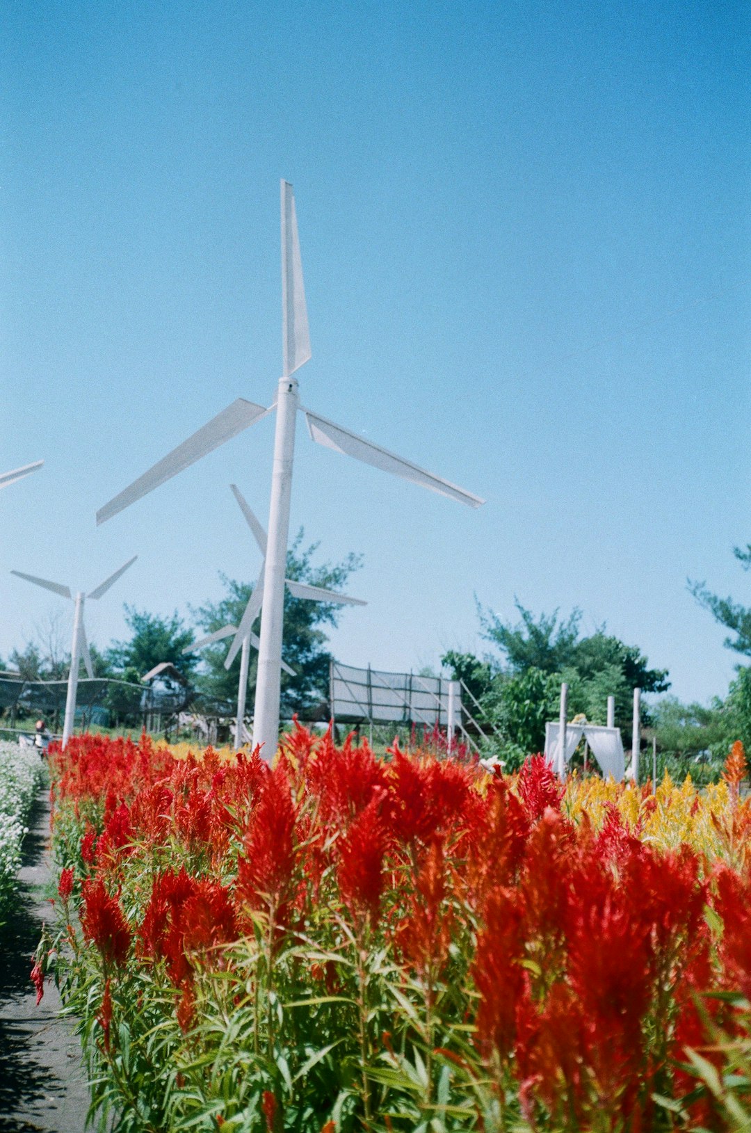 Ethanol Plants Running on Prairie Power (image credits: unsplash)