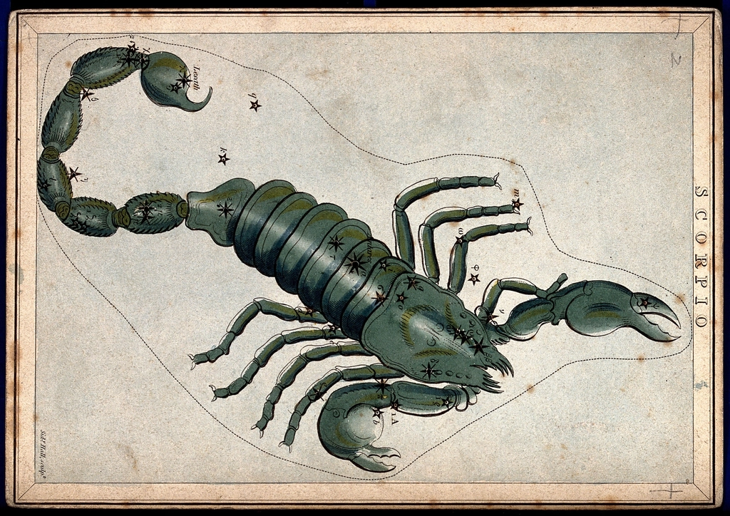 Scorpio Navigates Deep Karmic Transformations (image credits: rawpixel)