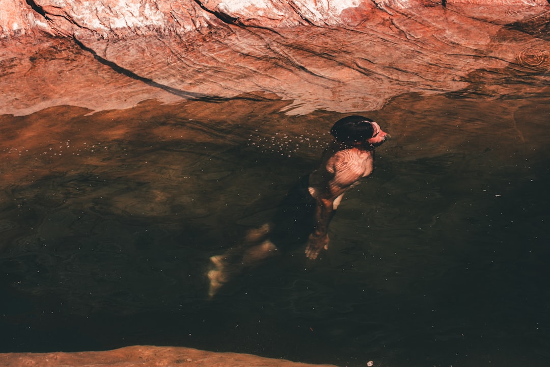 Arizona Hot Springs' Natural Spa Experience (image credits: unsplash)
