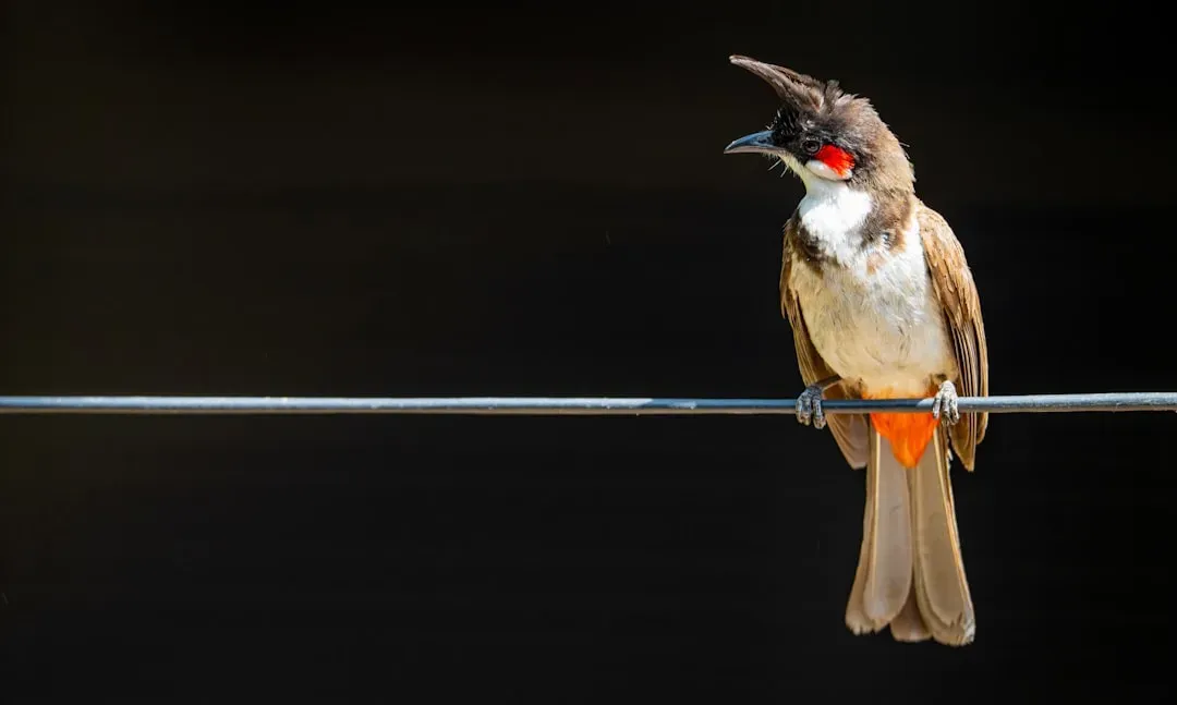 Electricity Bills Hit Harder Than Expected (Image Credits: Unsplash)