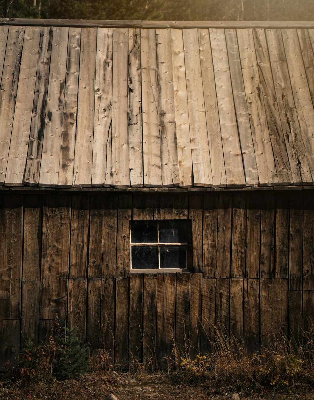 Tin Cup's Authentic Ghost Town Experience Draws History Buffs (image credits: unsplash)
