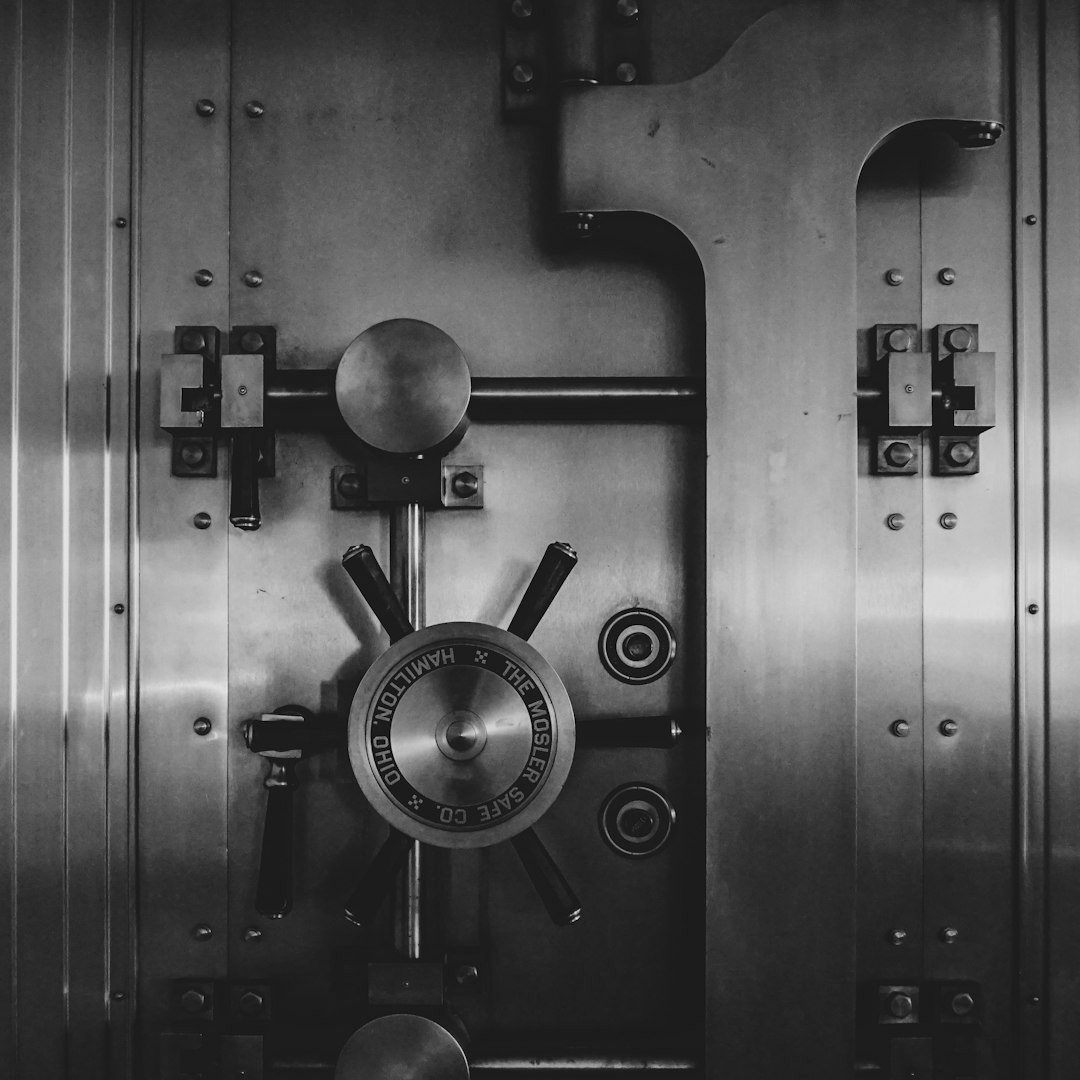 Foreign Influence and National Security Concerns (image credits: unsplash)