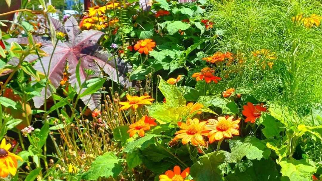 Monitor Climate Variability and Adjust Your Garden Strategy Each Year (Image Credits: Unsplash)