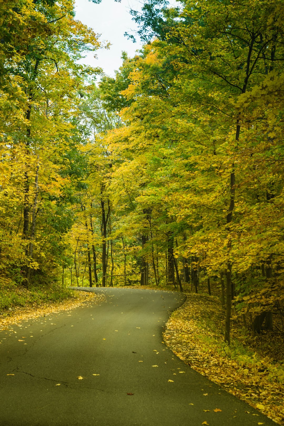 Hudson Valley, New York: Antique Hunting Paradise (image credits: unsplash)