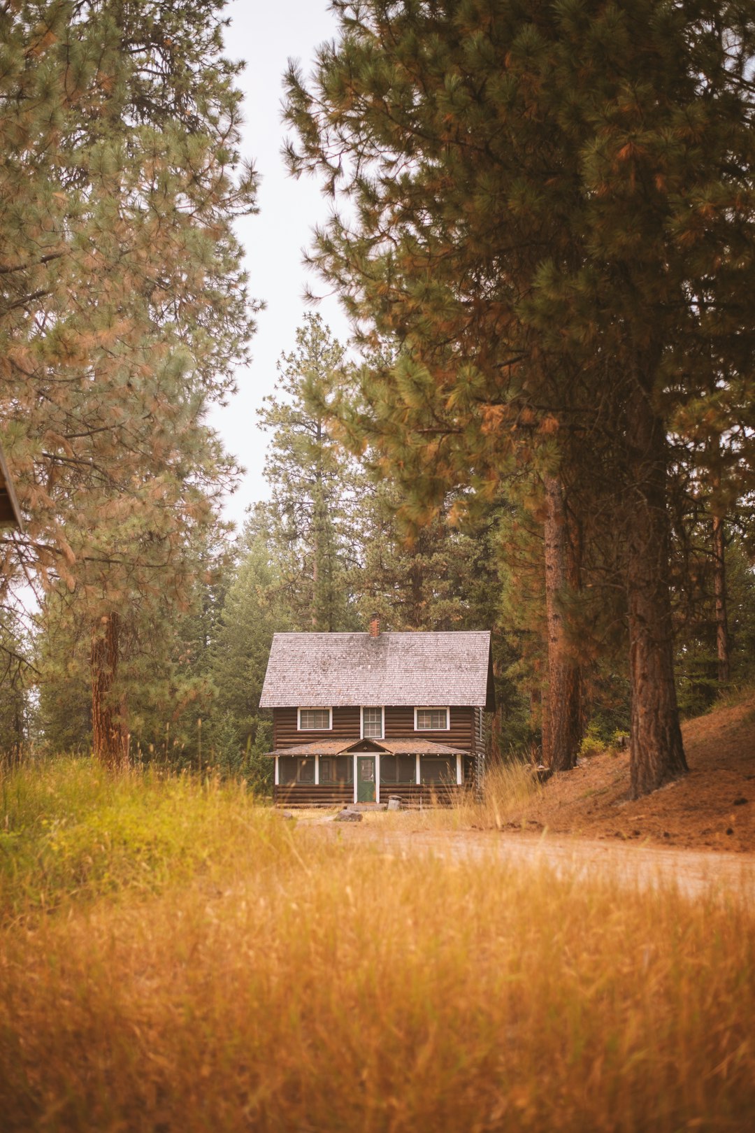 Conclusion: Where Past and Present Collide (image credits: unsplash)