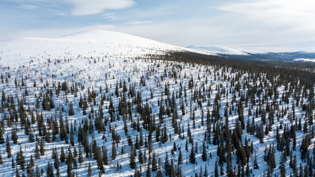 Finland: Arctic Stability Prevents Tornado Formation (image credits: unsplash)