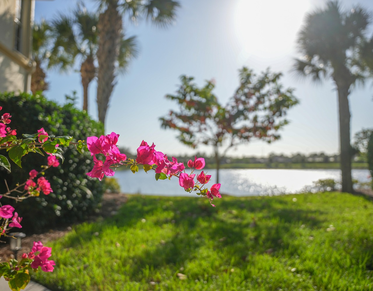 Florida's Name Comes from Easter Flowers (image credits: pixabay)