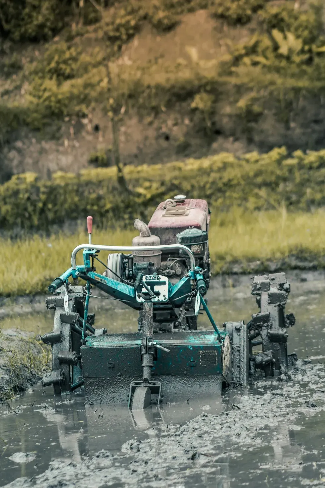 Government and University Research Fueling the Fire (Image Credits: Unsplash)